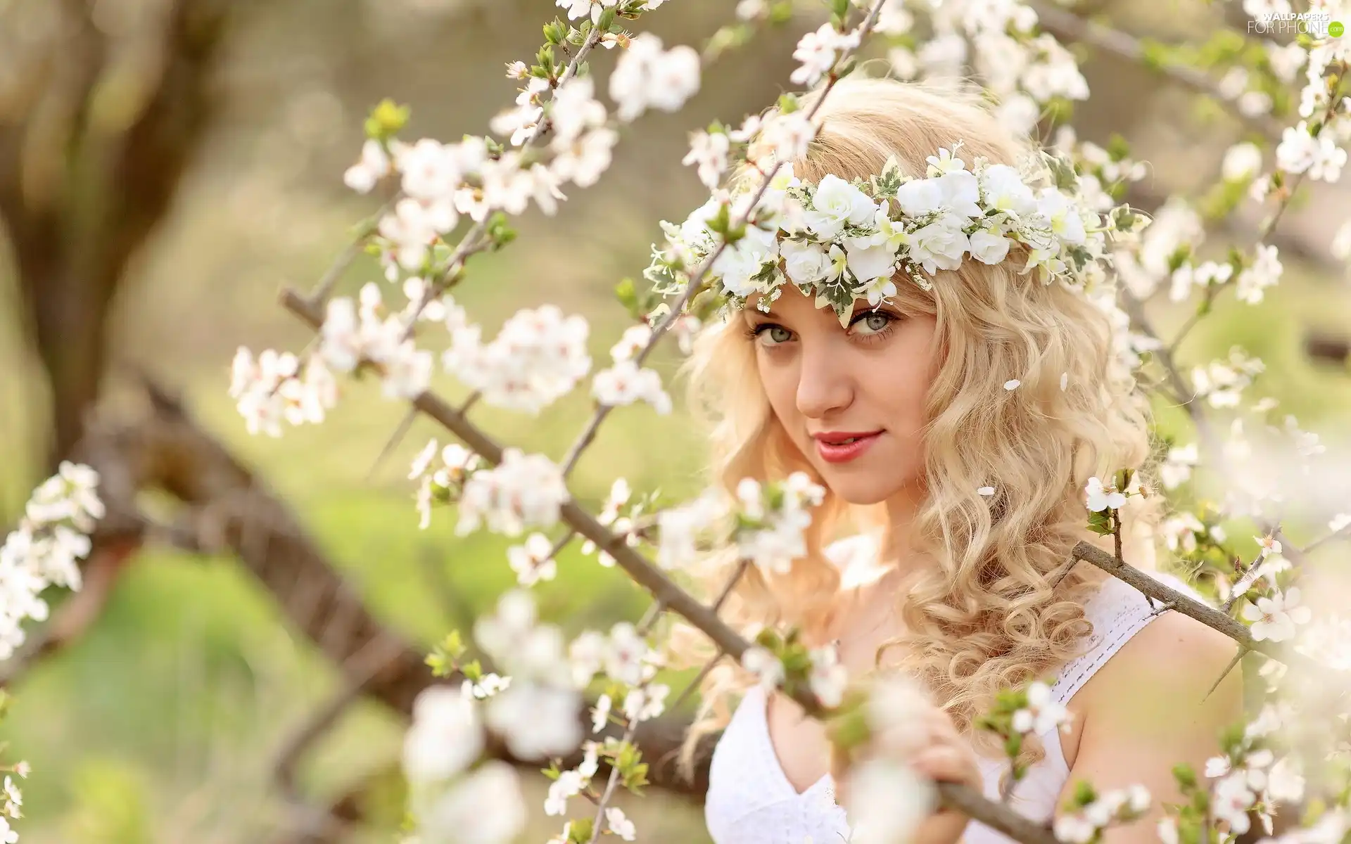 Blonde, trees, viewes, flourishing