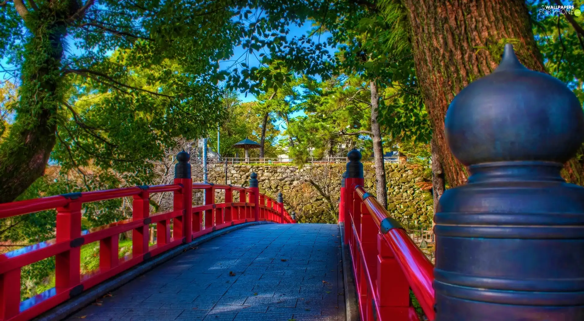 bridges, trees, viewes, wall