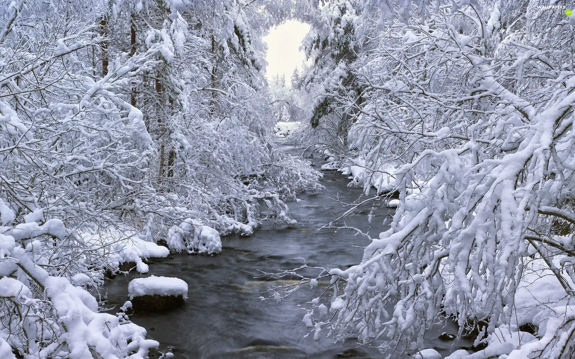 brook, trees, viewes, Snowy