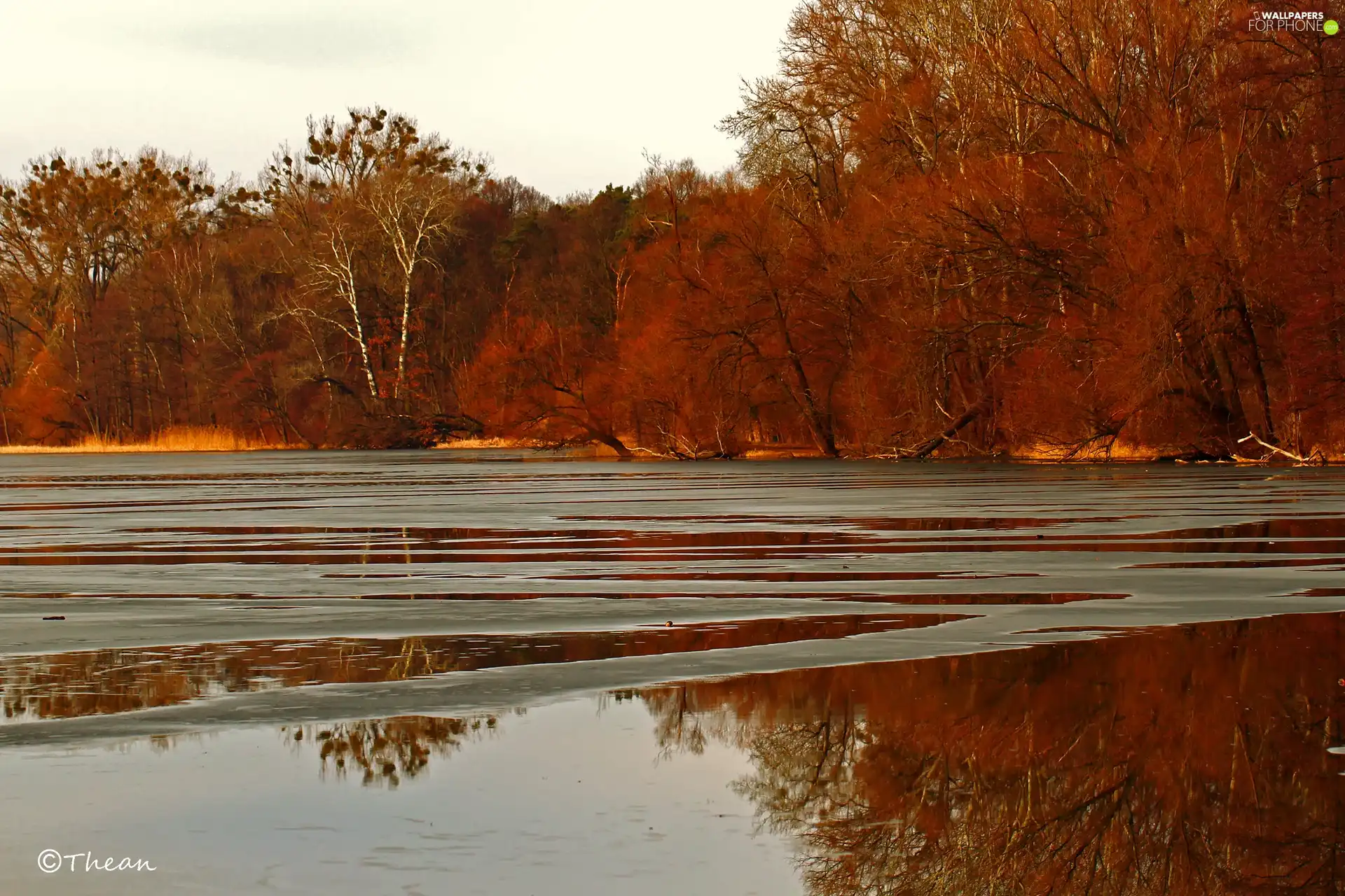 viewes, early spring, lake, trees, melting