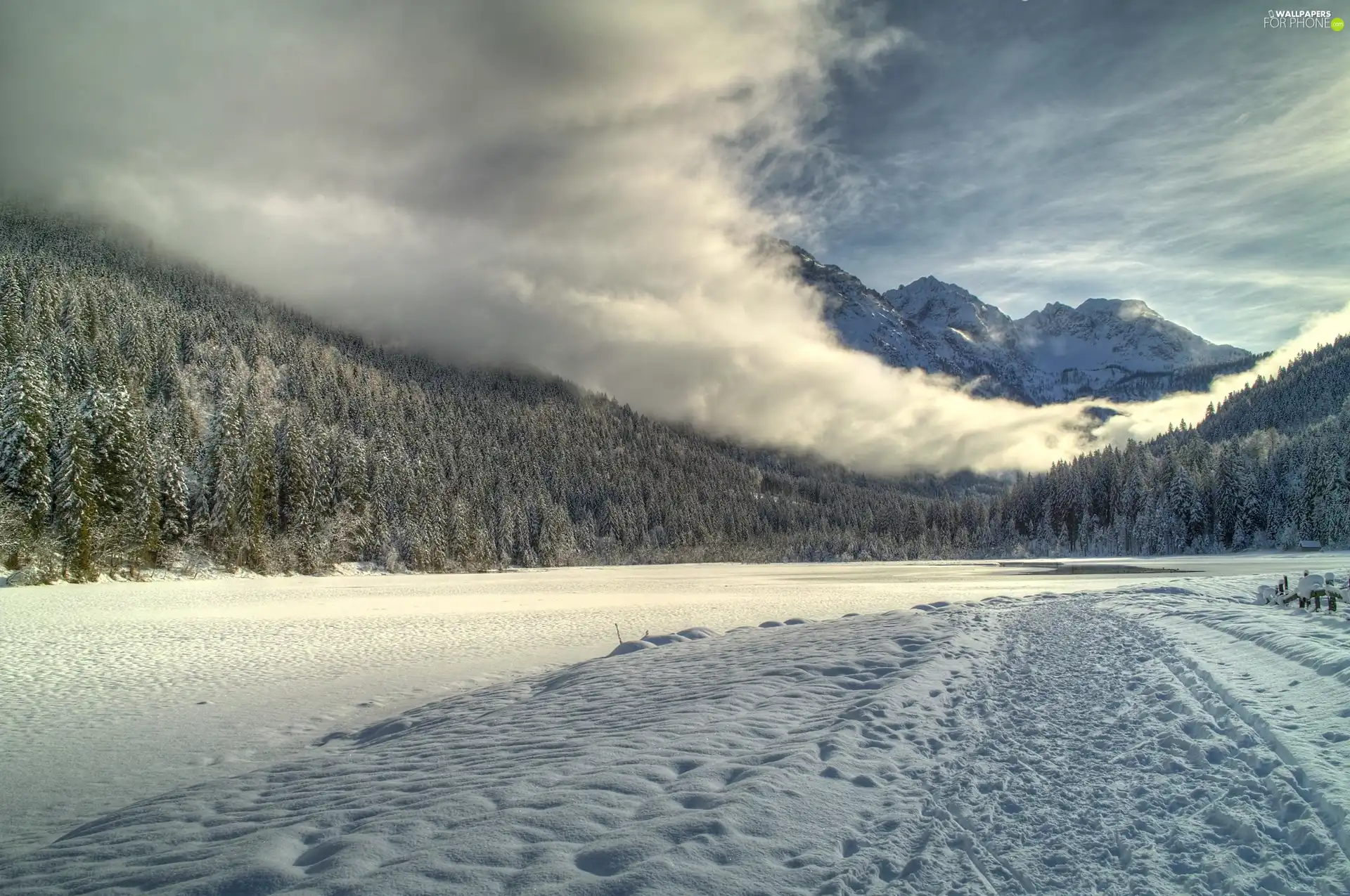 winter, Mountains, forest