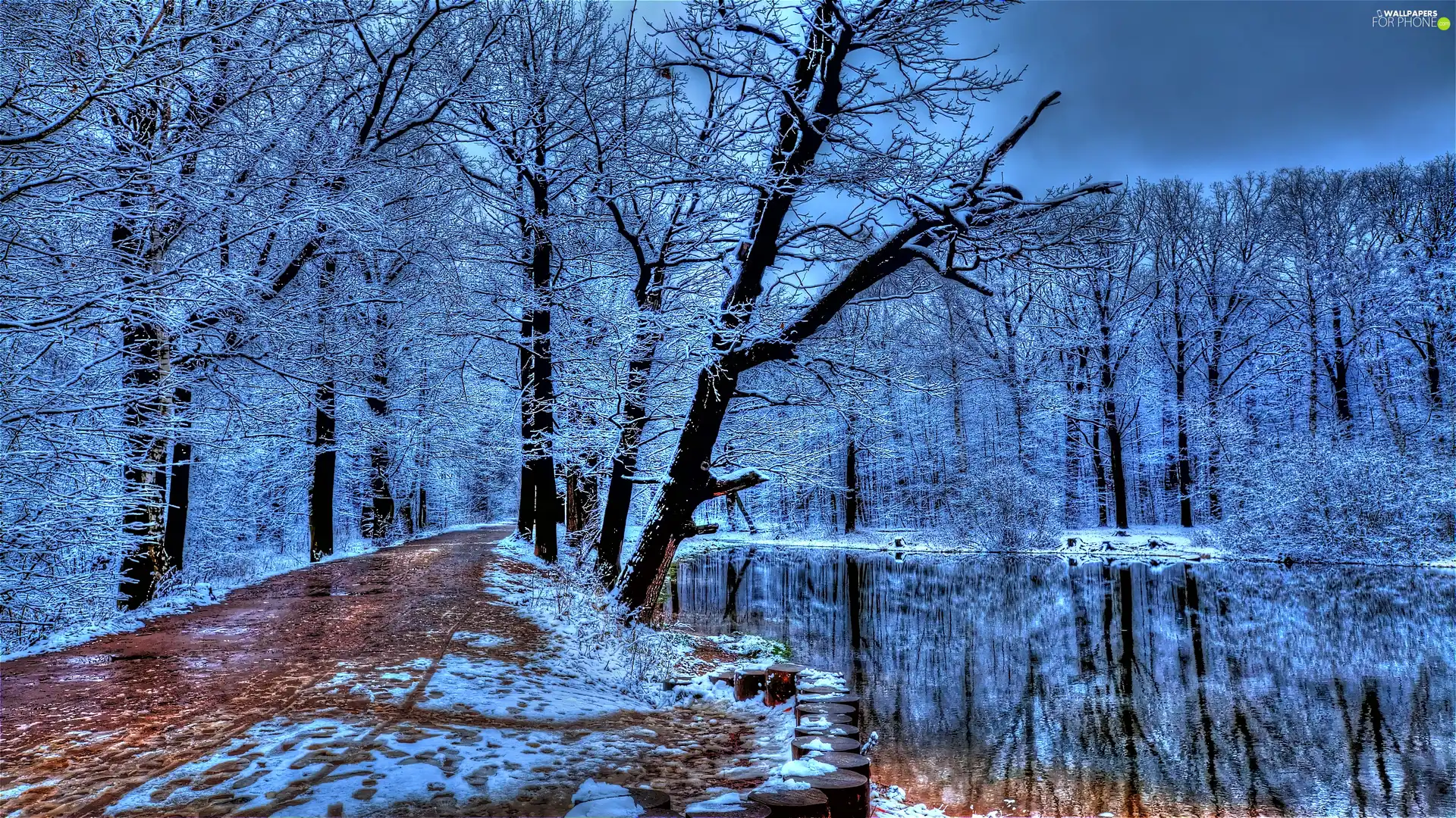 Park, River, winter, Way